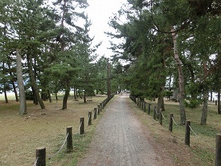 s-CIMG4922.jpg