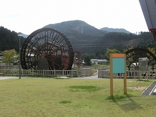 s-CIMG5054.jpg