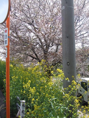 s-DSCF3071.jpg