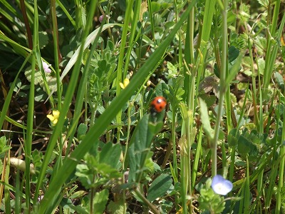 s-DSCF3095.jpg