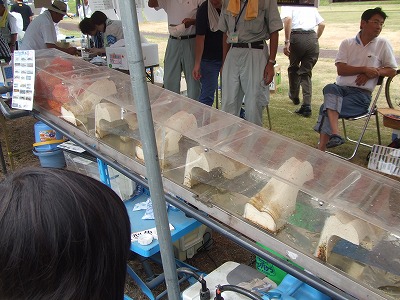 s-DSCF4489.jpg