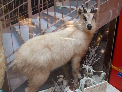 s-DSCF4704.jpg