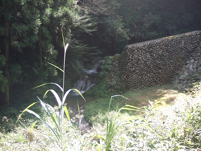 s-DSCF5040.jpg