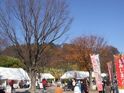 s-DSCF5676.jpg