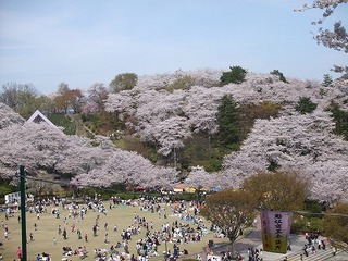 s-DSCF6968.jpg