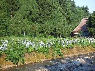 s-DSCF7630.jpg