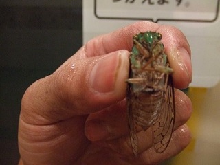 s-DSCF7692.jpg