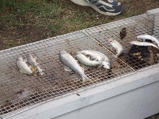 s-DSCF7706.jpg