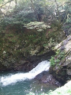 s-DSCF8004.jpg