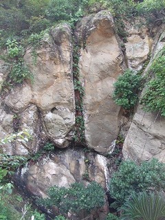 s-DSCF8009.jpg