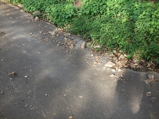 s-DSCF8114.jpg