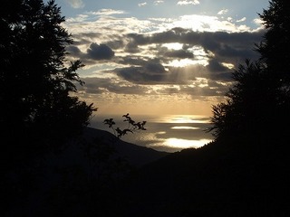 s-DSCF8242.jpg