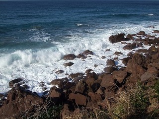 s-DSCF8591.jpg