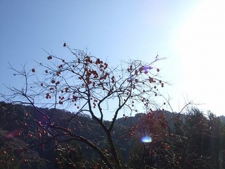 s-DSCF8594.jpg